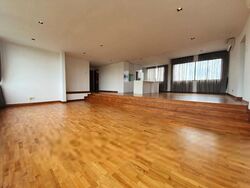 Nassim Regency (D10), Condominium #330013541
